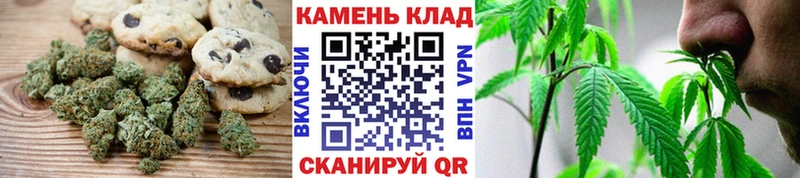 закладки  Новоалександровск  это клад  Печенье с ТГК марихуана 
