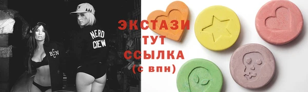 индика Мегион