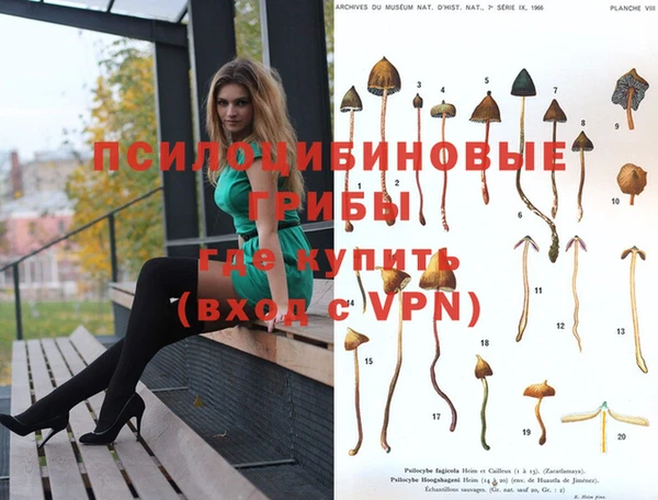марихуана Баксан