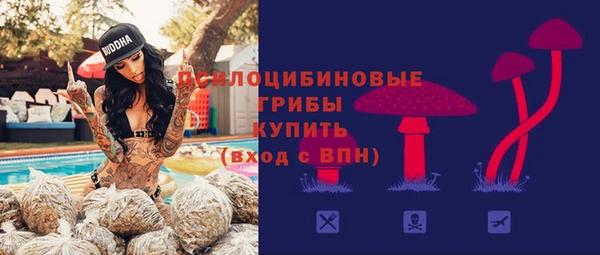 индика Мегион