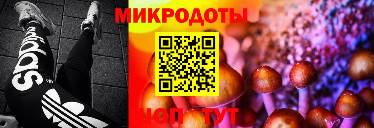 Галлюциногенные грибы GOLDEN TEACHER Новоалександровск
