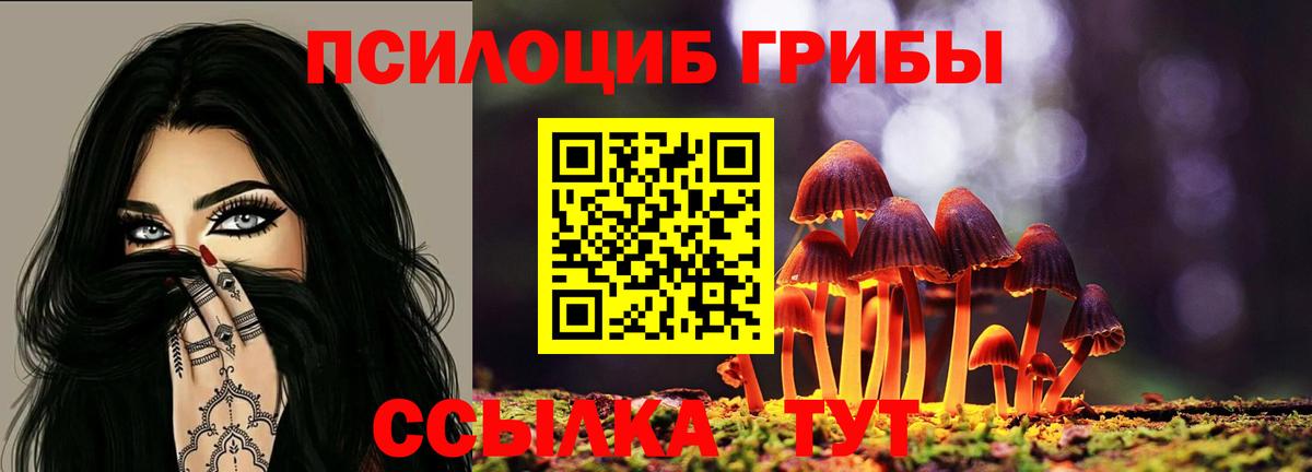 Галлюциногенные грибы Psilocybine cubensis  Псилоцибиновые грибы Magic Shrooms  Вход с VPN  Новоалександровск 