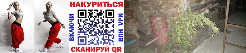 Шишки марихуана конопля  Новоалександровск 